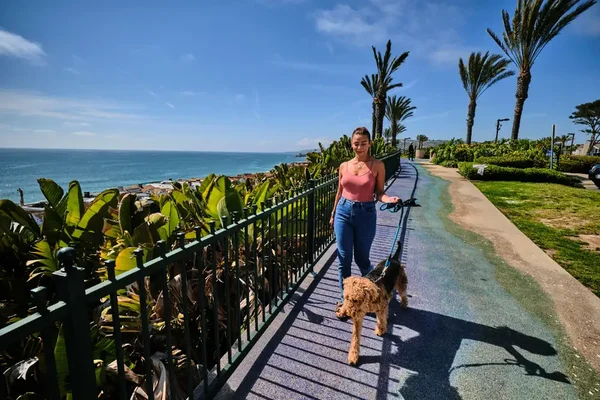 Dog‑friendly Getaway Dana Point