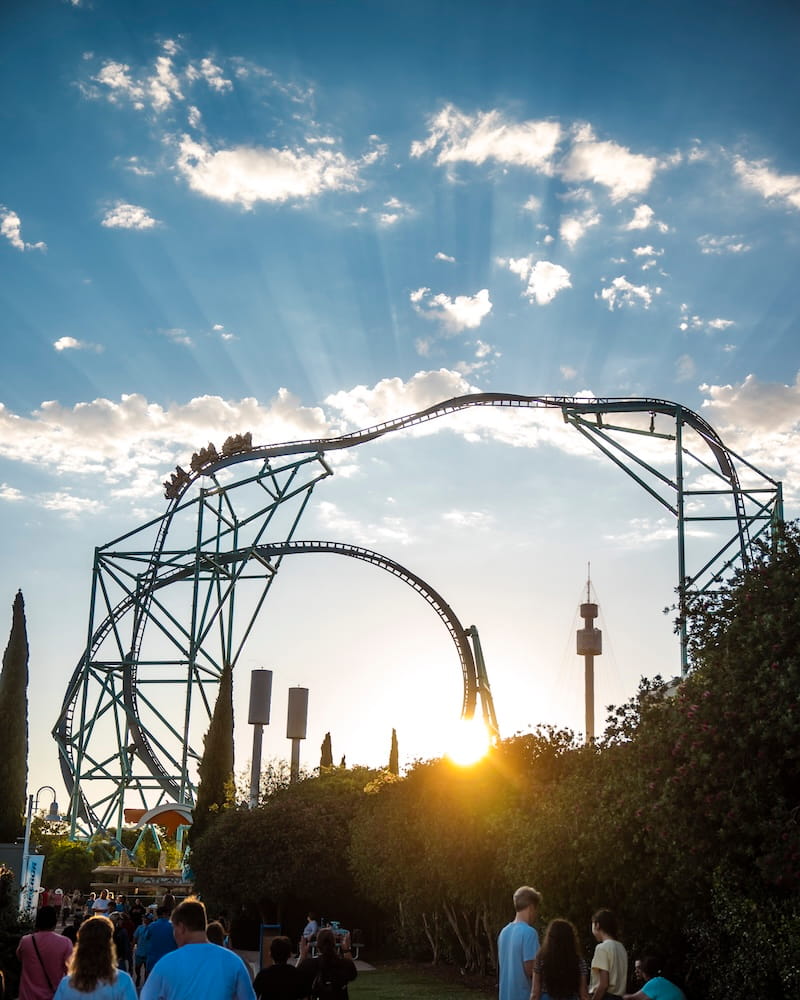 SeaWorld 23_SWC_ElectricEel