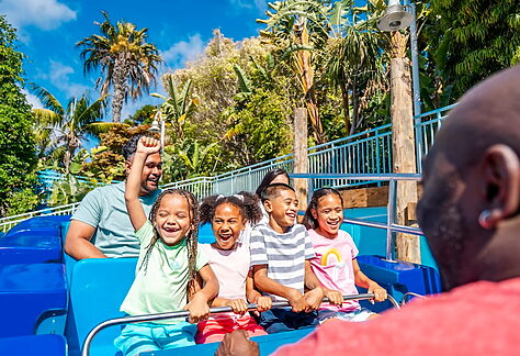 Summer SeaWorld San Diego