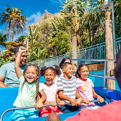 Summer SeaWorld San Diego