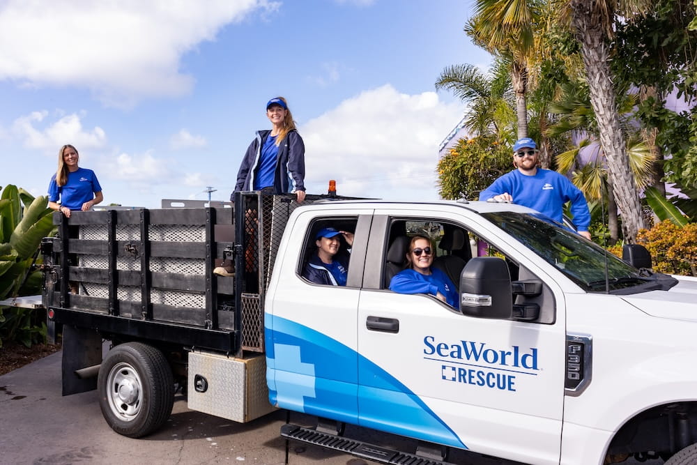 SeaWorld 24_SWC_SeaWorldRescue_InsighLook_IMG_1568