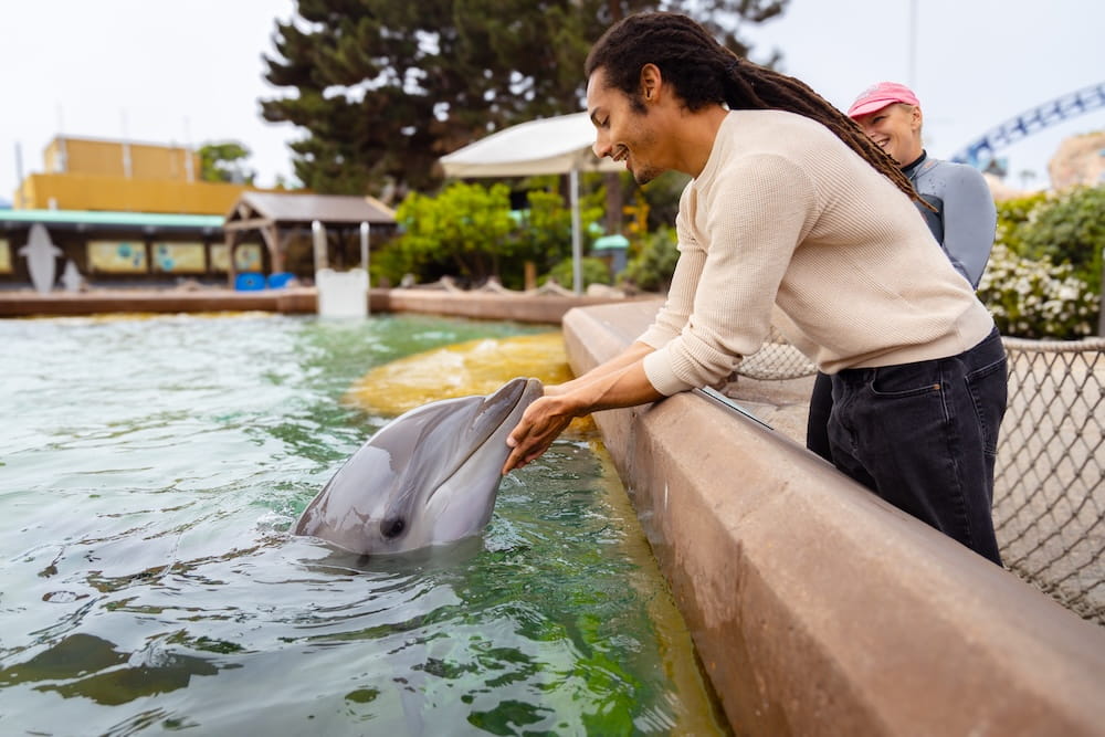 SeaWorld 25_SWC_Dolphin Interaction -3 (1)