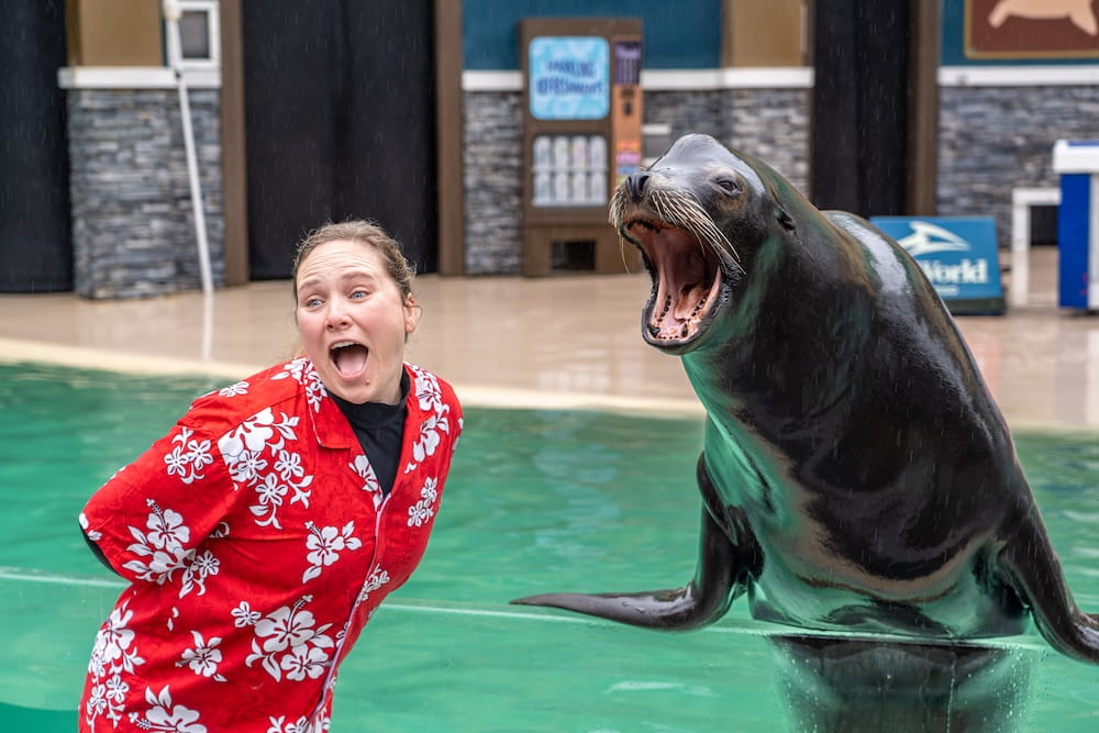 SeaWorld 26_SWC_Sealion_SLL_Pictures-0294