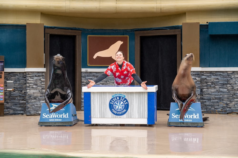 SeaWorld 26_SWC_Sealion_SLL_Pictures-0306