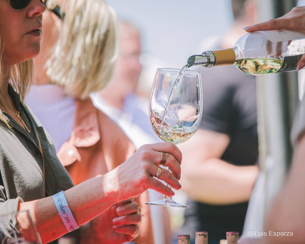 Dana Point Wine Events
