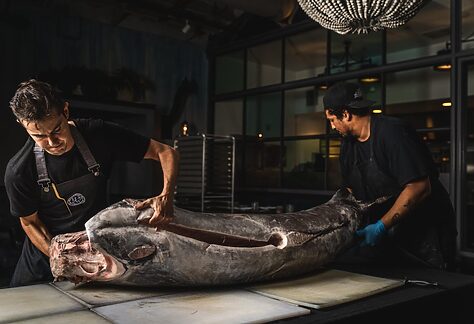 Sea-to-Table Dining San Diego