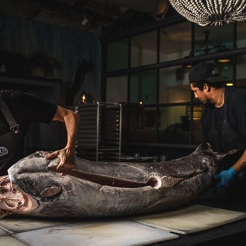 Sea-to-Table Dining San Diego