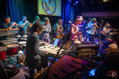 Stinkfoot Orchestra San Diego