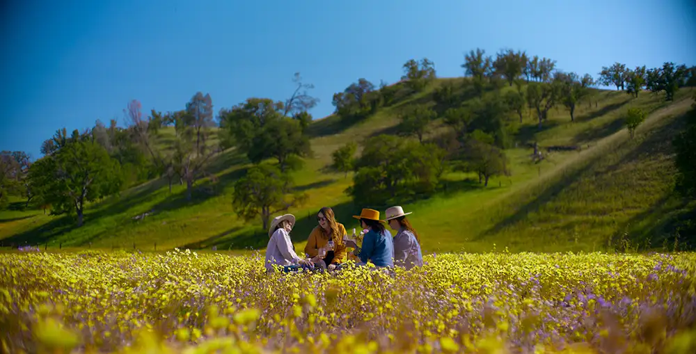 Paso Robles Spring Itinerary