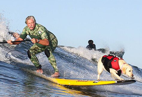 World Dog Surfing Championships
