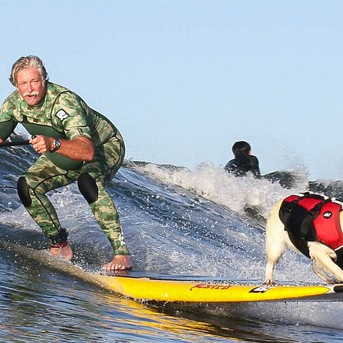 World Dog Surfing Championships