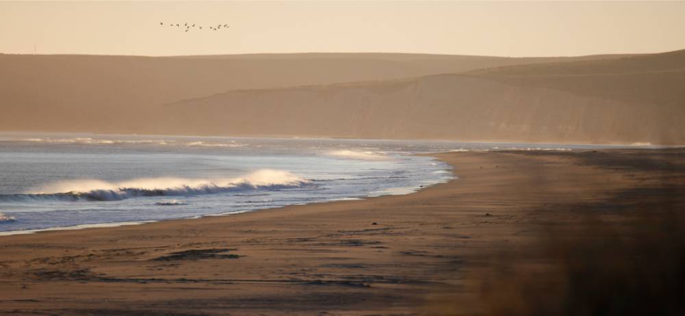 Marin County Escape