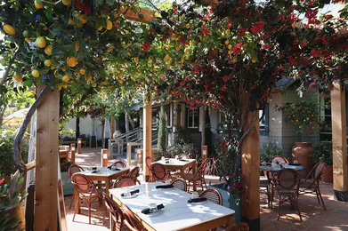 Truly Pizza Laguna Beach