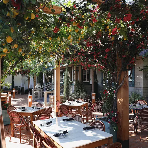 Truly Pizza Laguna Beach
