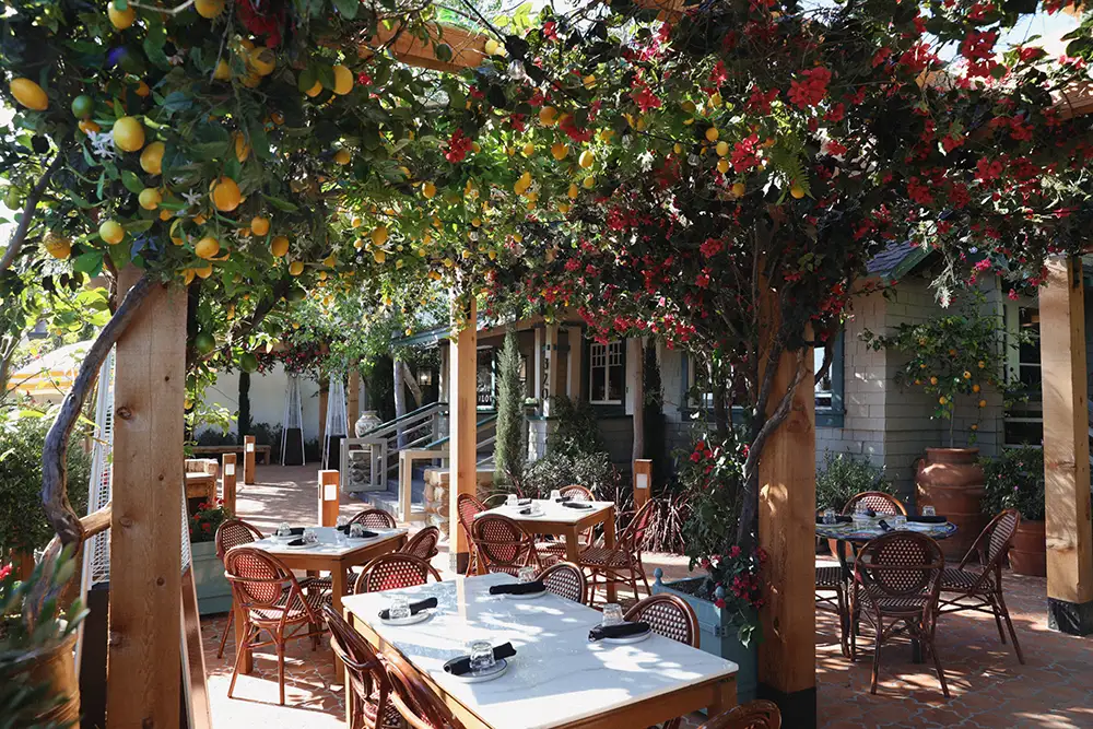 Truly Pizza Laguna Beach