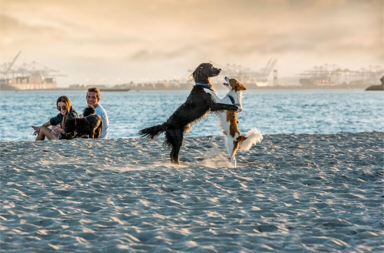 Credit Long Beach Convention & Visitors Bureau