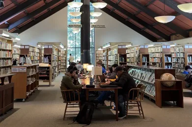 Cozy Library Marin