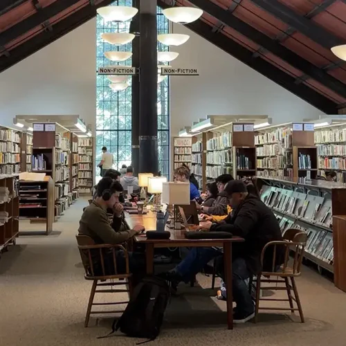 Cozy Library Marin