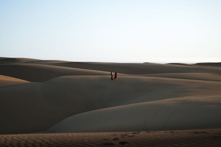 786161-oceano-dunes-day-time-4