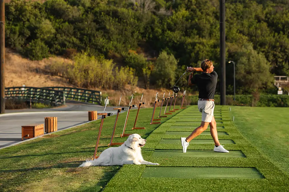 Omni La Costa Dog Days of Summer