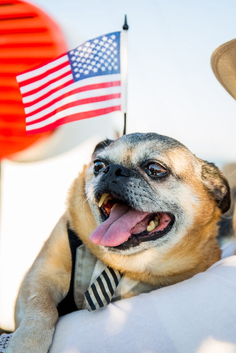 Visit Long Beach 4th of July Copy of All-America 4th Of July 2018 (6)